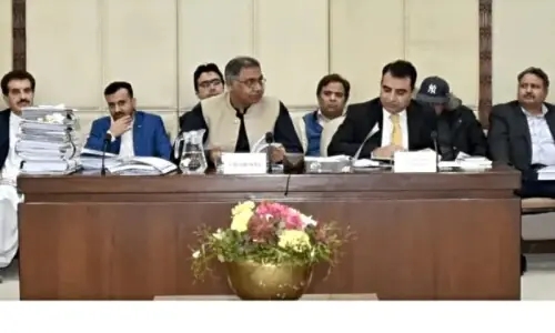 Senate panel calls for probe into foreign-funded power projects Senate panel calls for probe into foreign-funded power projects