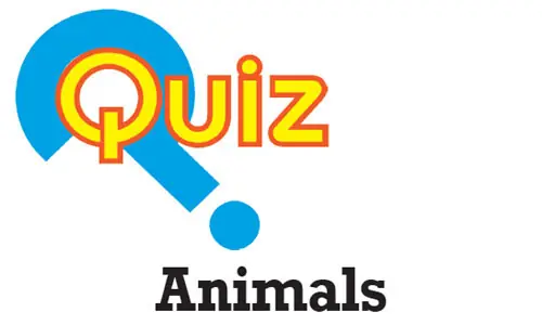 Quiz: Animals Quiz: Animals