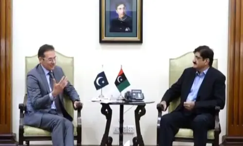 Sindh CM Murad, IFC agree to explore partnership in digital infrastructure, renewable energy Sindh CM Murad, IFC agree to explore partnership in digital infrastructure, renewable energy