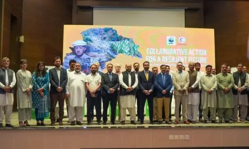 Advancing nature-based solutions to address climate risks stressed Advancing nature-based solutions to address climate risks stressed