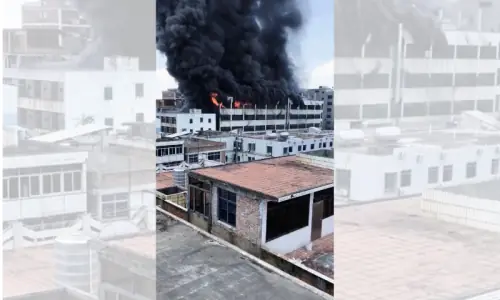 Shoe factory fire kills 28 in China