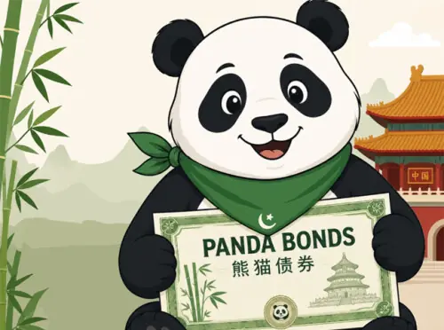 ECONOMY: WHY PAKISTAN&rsquo;S PANDA BOND MATTERS