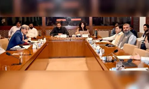 Senate panel orders physical verification of GB timber transit