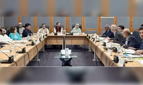 Senate panel irked by two-decade delay in transfer of Karachi's Hyatt Regency