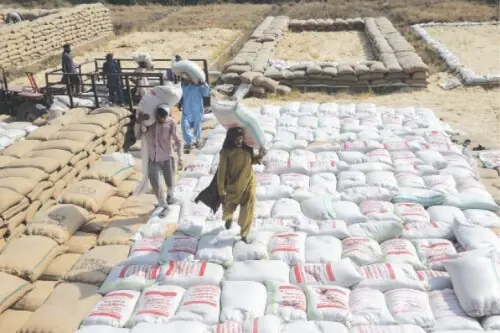 Pakistan Flour Mills Association wants Centre to import wheat to avert winter shortages Pakistan Flour Mills Association wants Centre to import wheat to avert winter shortages