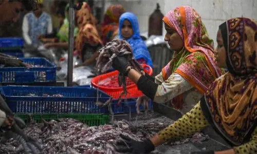 Fish export data sparks confusion Fish export data sparks confusion