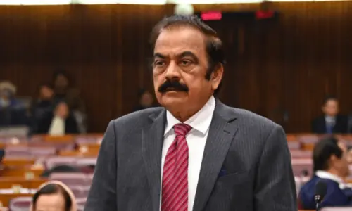 Sanaullah says JUI-F chief's remarks against martyrs were 'inappropriate', says his words were unintended Sanaullah says JUI-F chief's remarks against martyrs were 'inappropriate', says his words were unintended