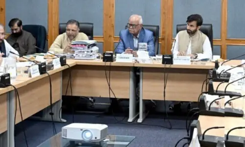 Senate panel voices alarm over delays in Wapda projects