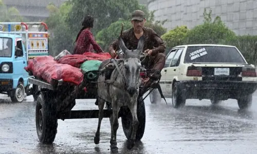 Rain-related fatalities during ongoing monsoon spell rise to 18 in KP