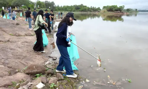 Pak-EPA awaits report as dead fish spotted again in Rawal Lake