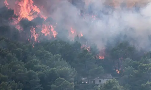 Deadly wildfires in Europe force thousands to flee