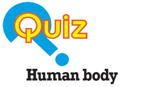 Quiz: Human body Quiz: Human body