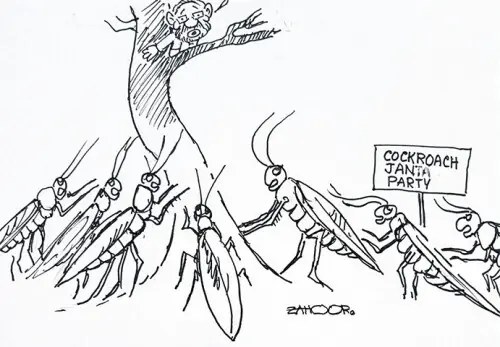 Cartoon: 25 July, 2026