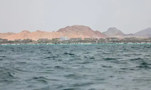 Red Sea shipping falls after Houthi attack on Saudi Arabia