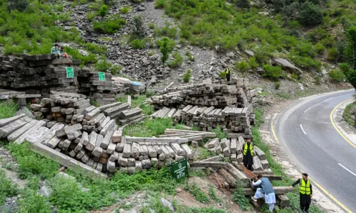 Govt fails to dispose of timber harvested 16 years back