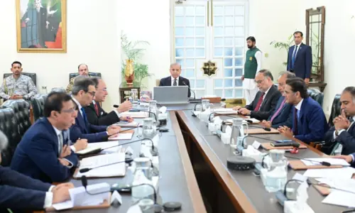 PM Shehbaz directs elimination of unnecessary positions to improve govt performance