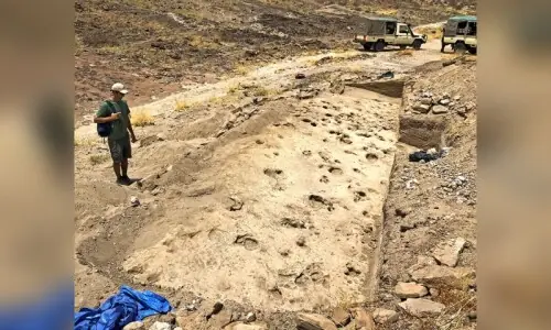 Kenyan footprints shed light on prehistoric human cousin Paranthropus