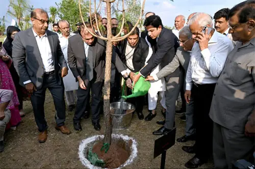 CDA sets target of planting 200,000 saplings in monsoon drive