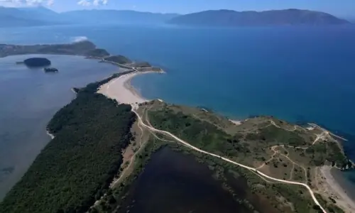 'Absolute biodiversity massacre': NGOs say Trump family project in Albania has already caused 'irreparable' damage