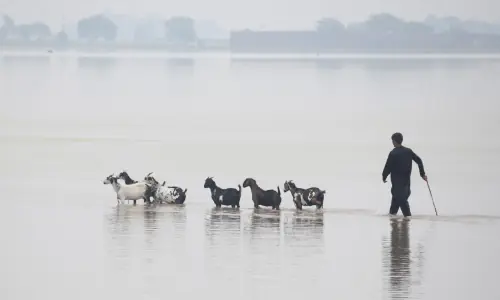 22 villages in Punjab's Multan district partially submerged under floodwaters
