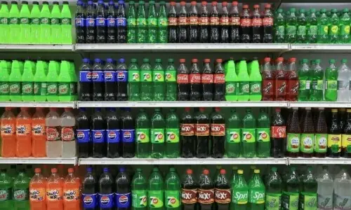 Flavoured beverages increase diabetes, cancer risks, NA panel told Flavoured beverages increase diabetes, cancer risks, NA panel told