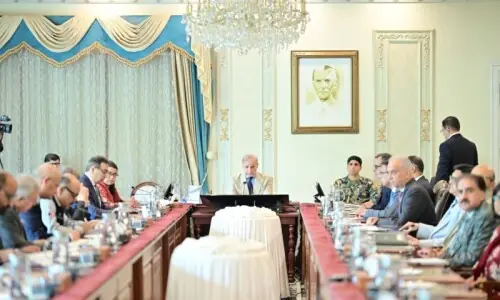 PM Shehbaz directs adoption of 'comprehensive strategy' to attract investors for Discos' privatisation