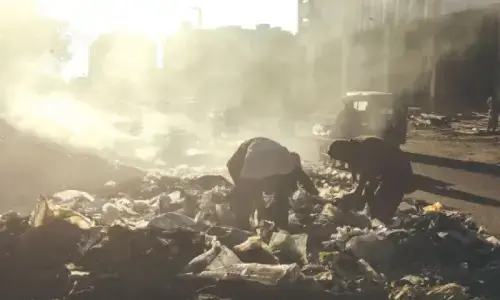 Empowered local government key to tackling Karachi&rsquo;s environmental challenges, moot told