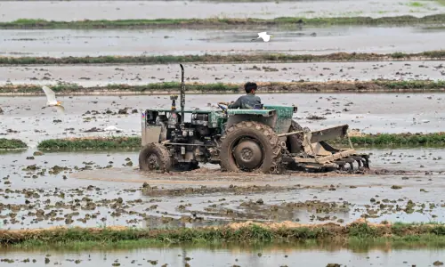 Pakistan, New Zealand seek to boost cooperation in agri, education sectors
