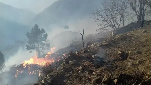 Forest fires erupt in KP's Mohmand