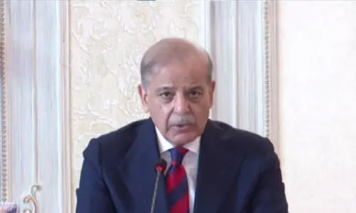 Pak-Saudi-Turkiye defence pact &lsquo;entirely for defensive purposes&rsquo;, not aggression: PM Shehbaz