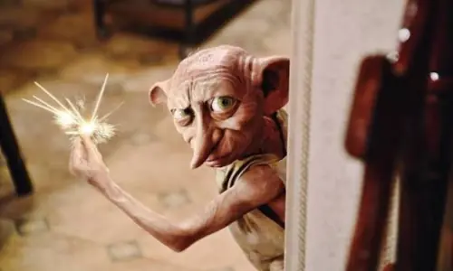 Harry Potter fans saved Dobby's grave by forcing energy company to divert $581m international cable