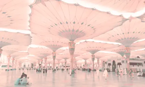 Explained: The Mecca Pact, a safety net with no strings attached