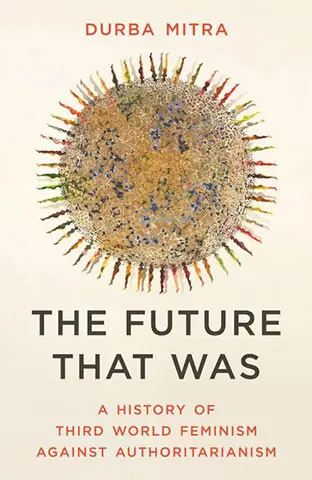 NON-FICTION: HOW &lsquo;THIRD WORLD&rsquo; FEMINISM WAS BUILT