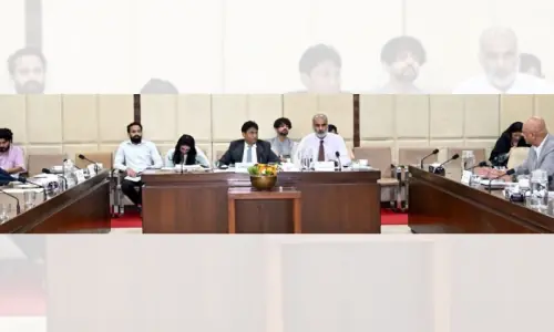 Govt ‘bleeding’ Rs5-6 trillion annually, Senate body laments Govt ‘bleeding’ Rs5-6 trillion annually, Senate body laments