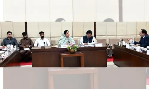 Senate panel reviews export performance Senate panel reviews export performance