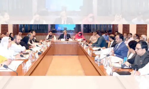 NAB briefs Senate panel on FGEHA&rsquo;s 2 housing schemes