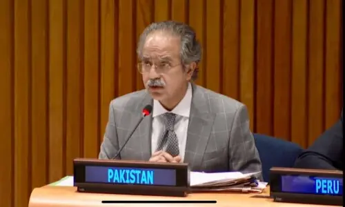 Pakistan questions Gaza ceasefire as killings of Palestinians continue Pakistan questions Gaza ceasefire as killings of Palestinians continue