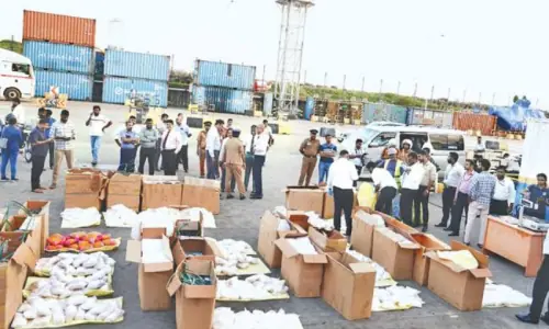 Sri Lankan, US anti-narcotics agents bust Pakistani drug network in Colombo Sri Lankan, US anti-narcotics agents bust Pakistani drug network in Colombo