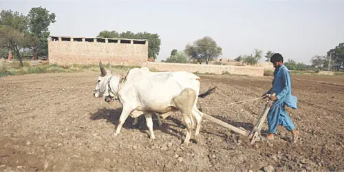 Agriculture: Going greener for soil health