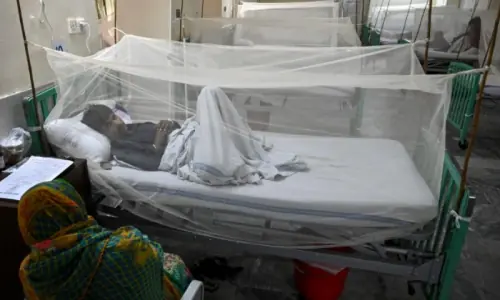 Dengue cases in Pakistan rose by over 3,000pc in 11 years: study Dengue cases in Pakistan rose by over 3,000pc in 11 years: study
