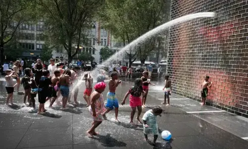 &lsquo;Alarm bells ringing&rsquo;: US summer heat shatters record
