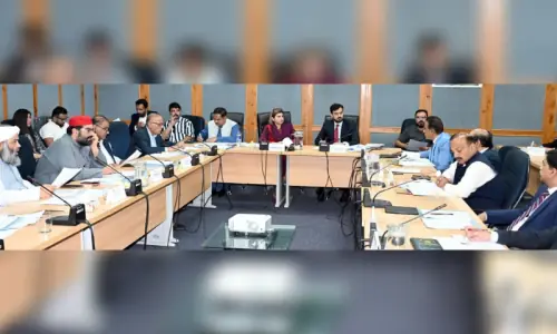 Senate panel orders FIR over Pims nursery fire