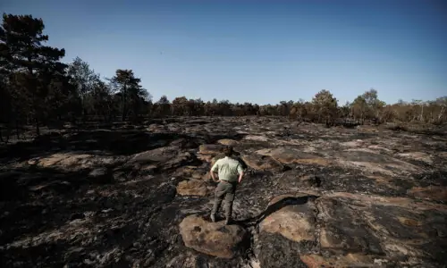 World sees hottest August as historic El Nino takes shape