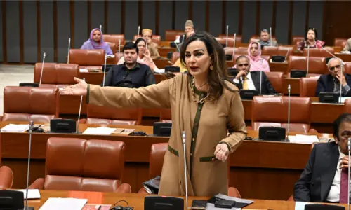 Sherry Rehman raises alarm over child abuse crisis