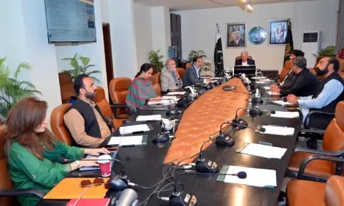 PAC halts sugar export despite green light from advisory board