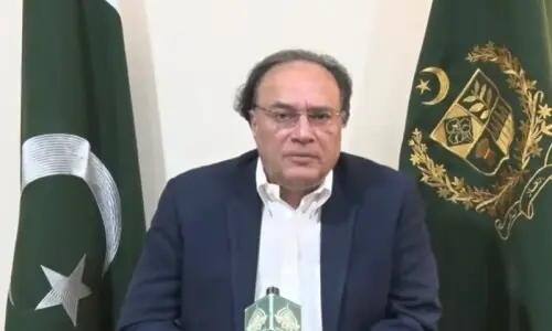 'Self-inflicted pain': Finance minister says protests, sit-ins to cause daily loss of around Rs120bn