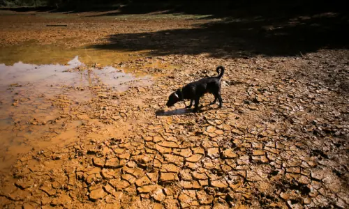 El Nino could cause 451,000 extra heat deaths, estimates say El Nino could cause 451,000 extra heat deaths, estimates say