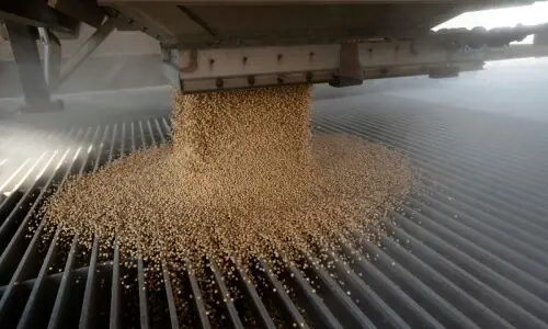 China to cut tariffs on US farm goods, but list excludes soya beans