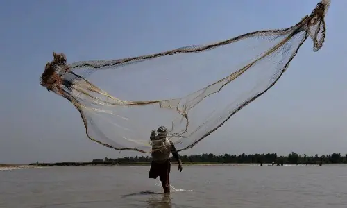 Crackdown on banned fishing nets intensifies in Gwadar Crackdown on banned fishing nets intensifies in Gwadar