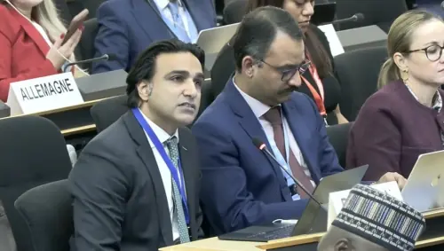 Pakistan condemns India at UN council over occupied Kashmir, minority rights Pakistan condemns India at UN council over occupied Kashmir, minority rights